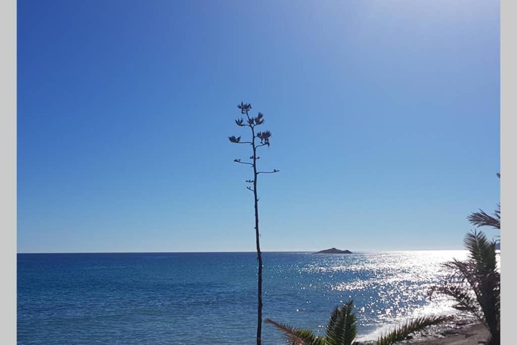 Pilki Apartamento Carboneras Εξωτερικό φωτογραφία
